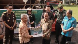 Idul Adha 2025: Umat Islam Kabupaten Sintang Terima 9 Ekor Sapi Kurban Dari Pemerintah