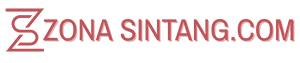 zonasintang.com